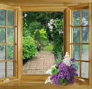 窗口期NBA常规赛焦点战，休斯敦火箭更衣室发声，态度坚定，心理建设被强调(休斯敦火箭队最新资讯)